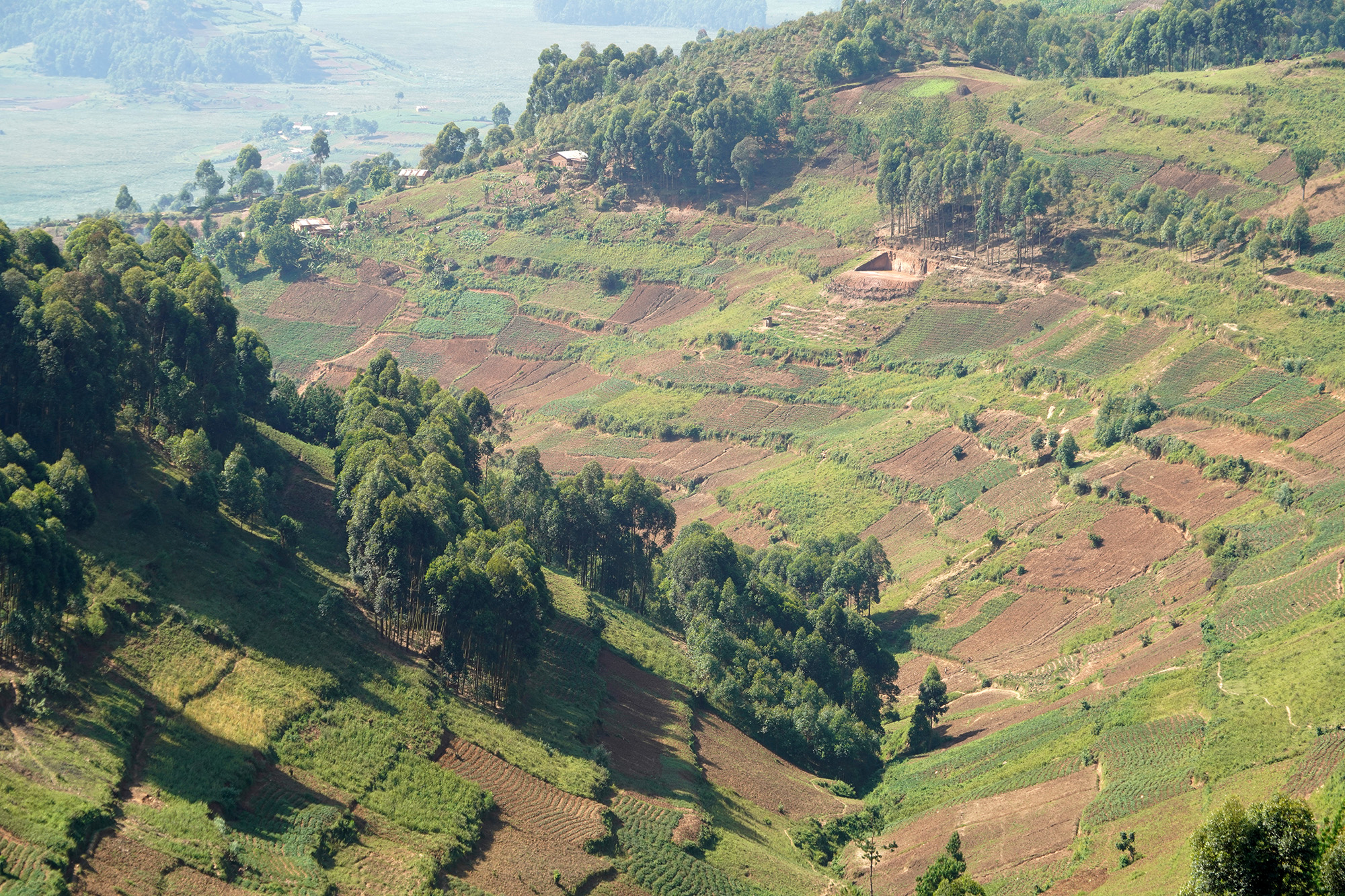 Ouganda - Perle de l'Afrique