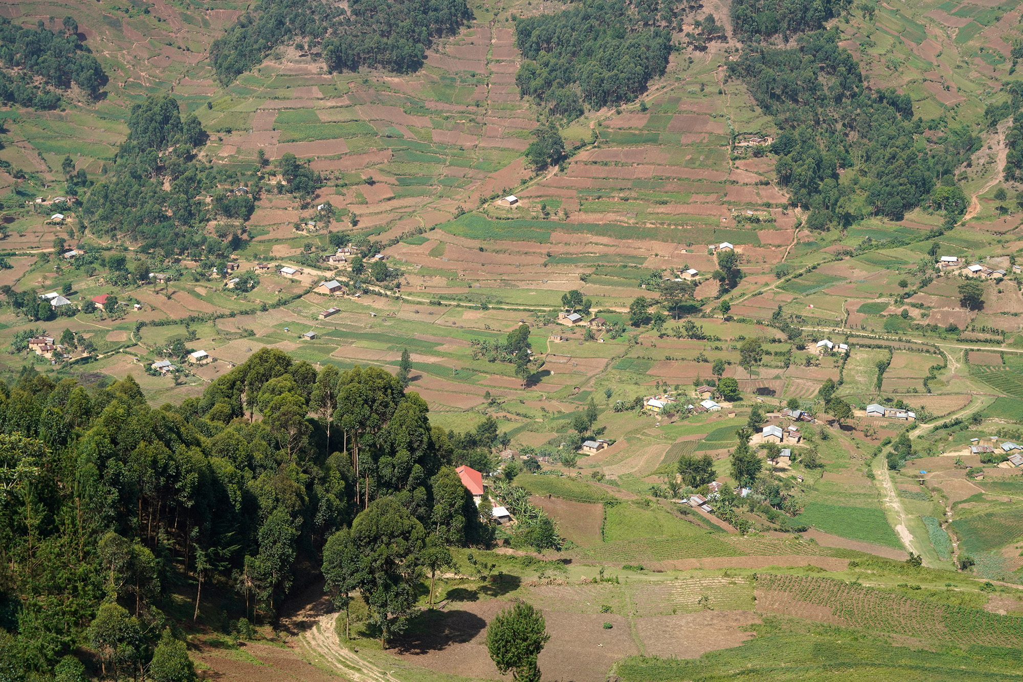 Ouganda - Perle de l'Afrique