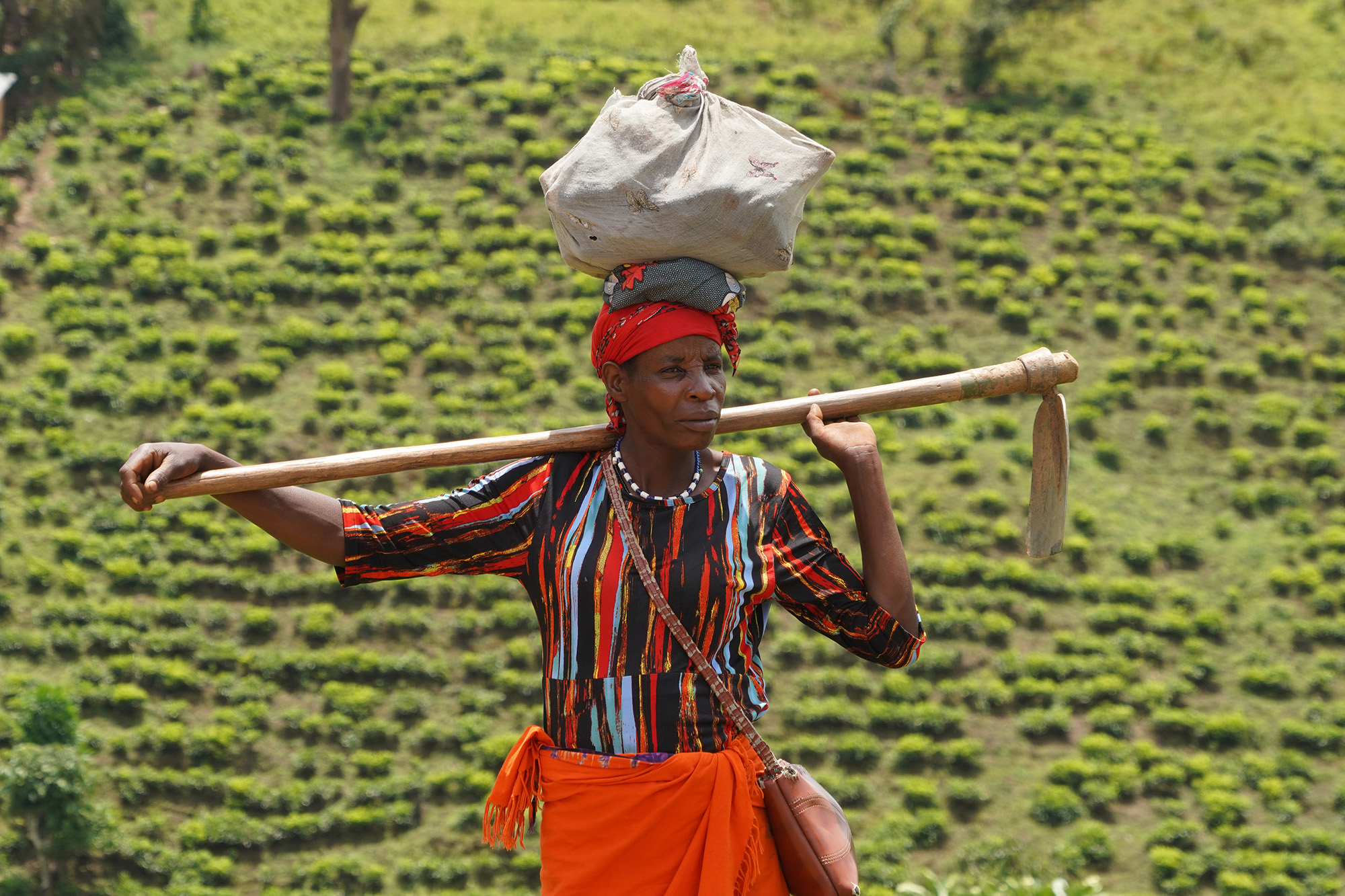 Ouganda - Perle de l'Afrique