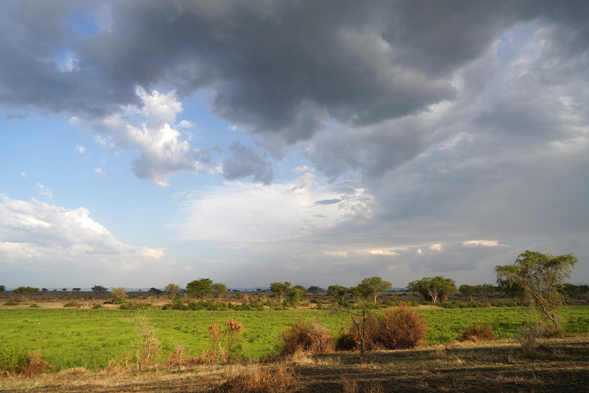 Ouganda - Perle de l'Afrique