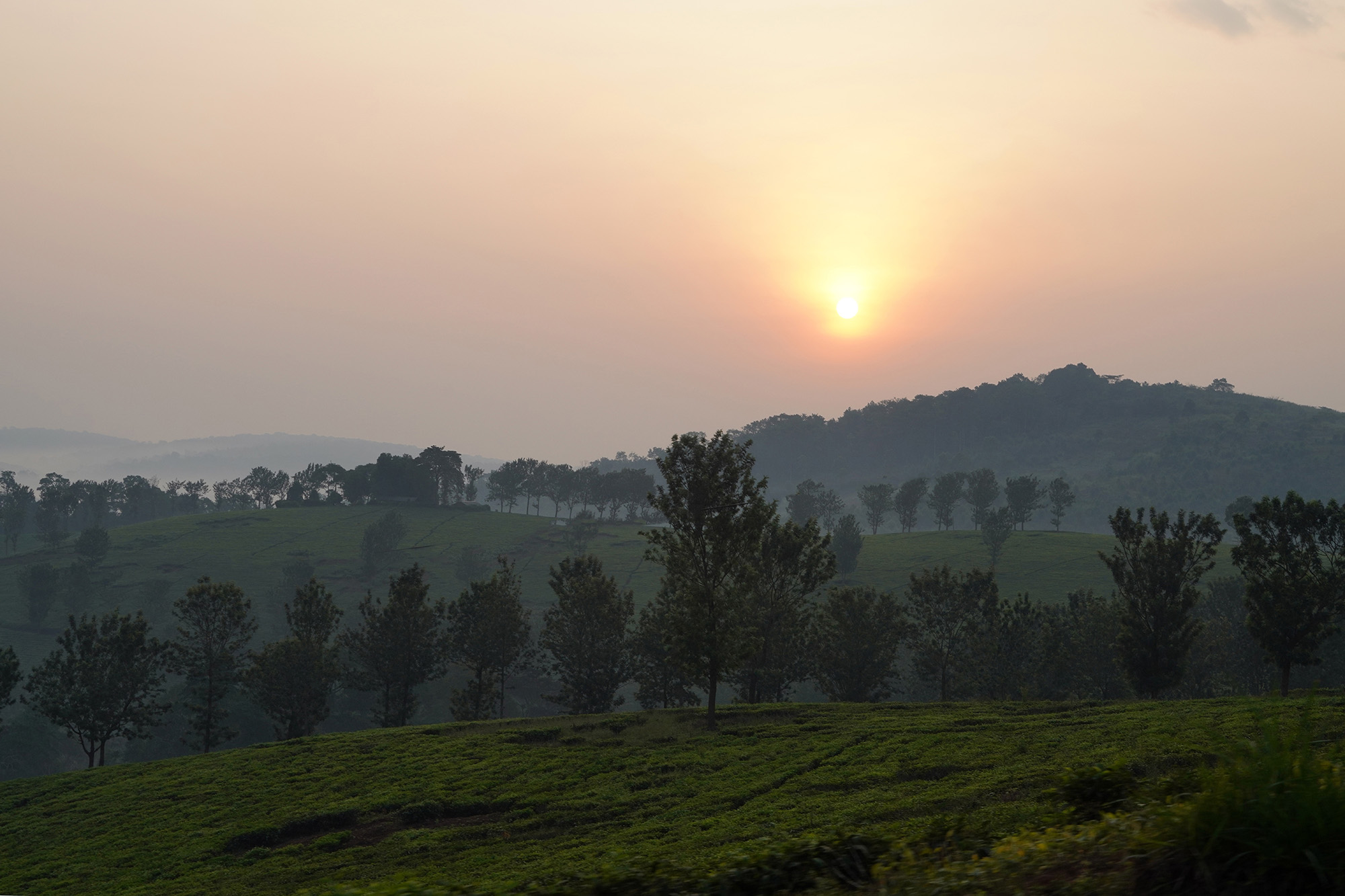 Ouganda - Perle de l'Afrique
