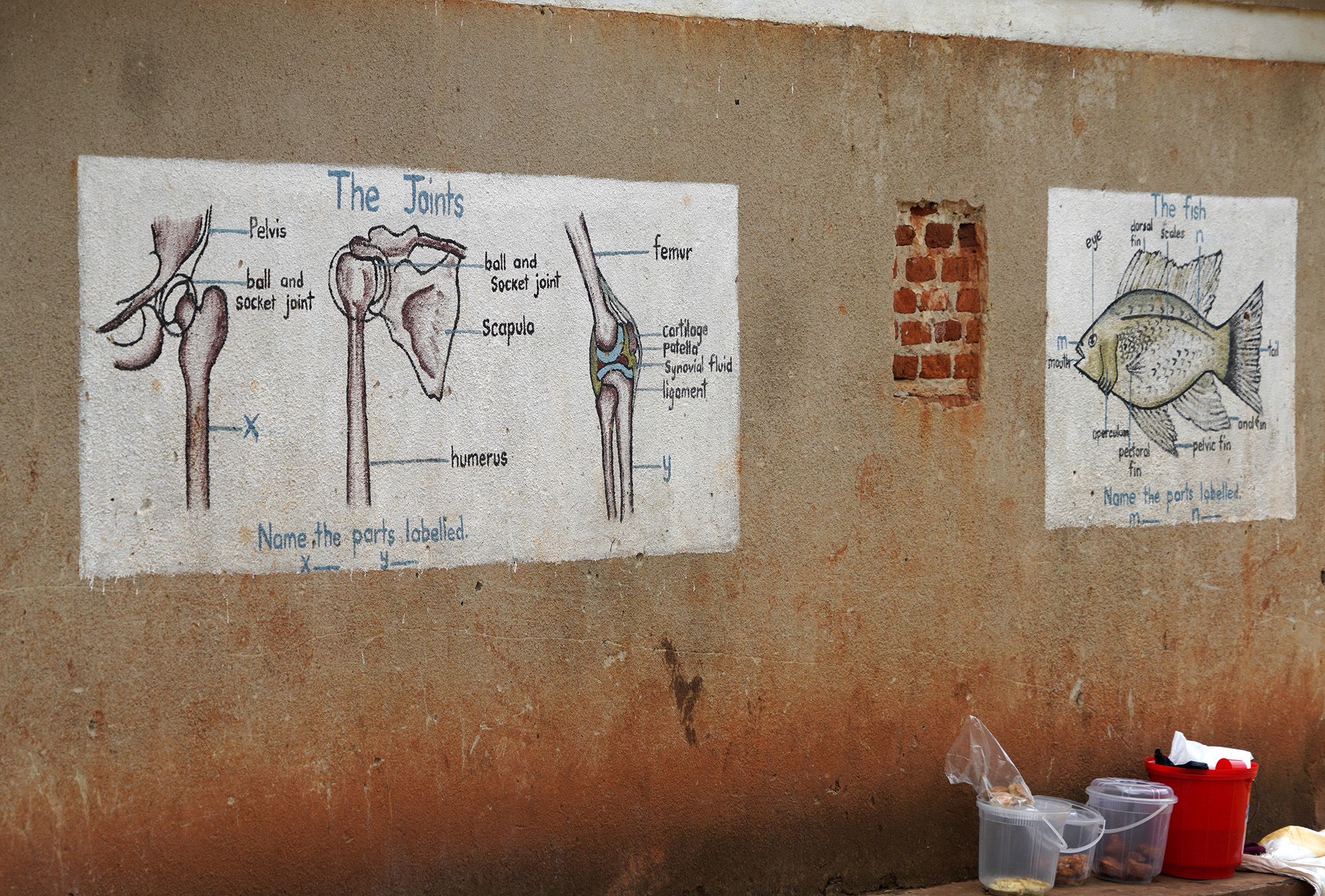 Ouganda - Perle de l'Afrique