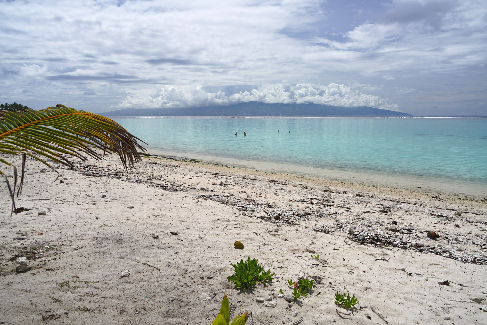 Plage de Temae devant l'hôtel Sofitel de Moorea