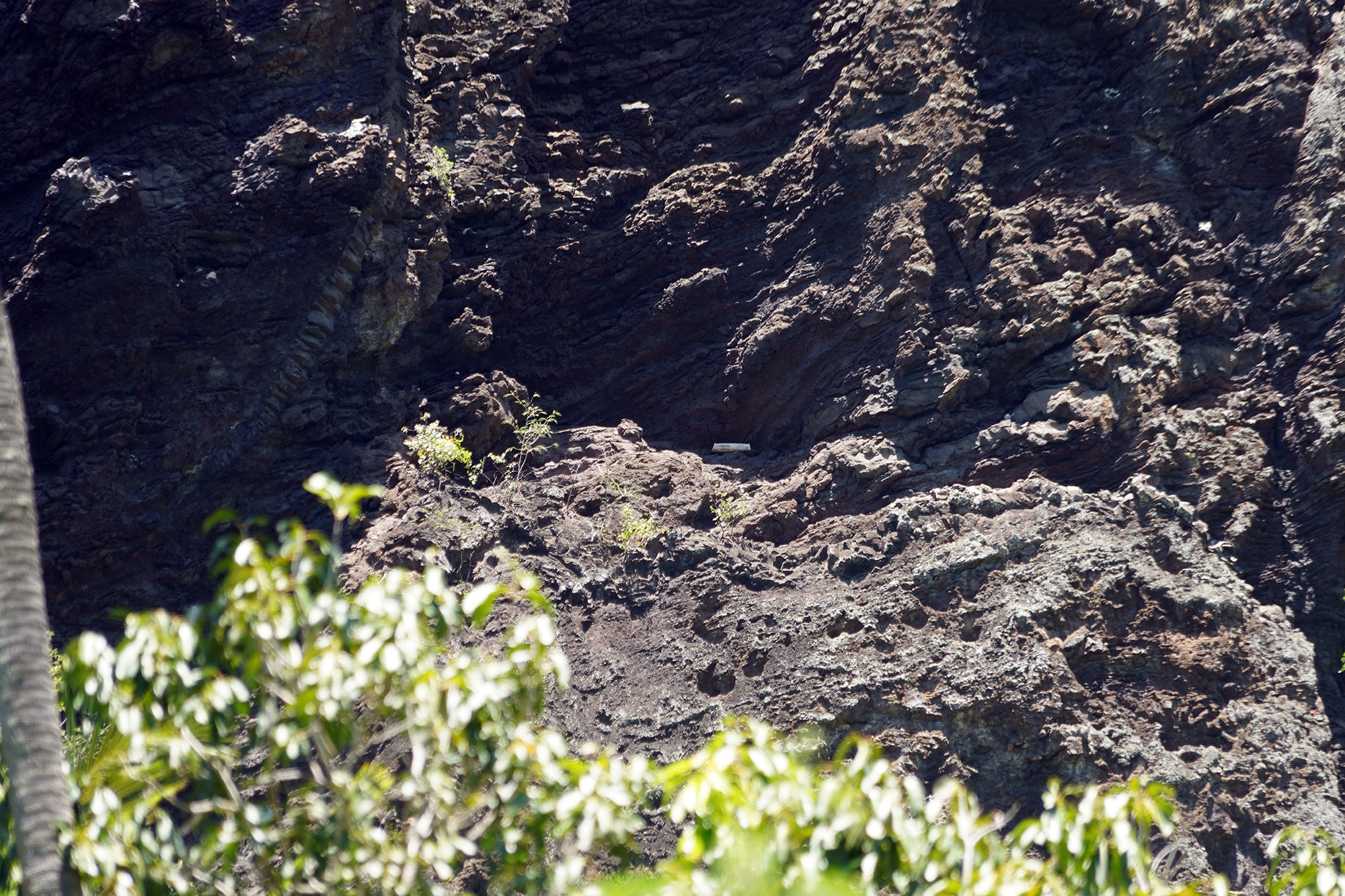 Pirogue mortuaire habitant les dépouilles des chefs - Ile de Nuku Hiva