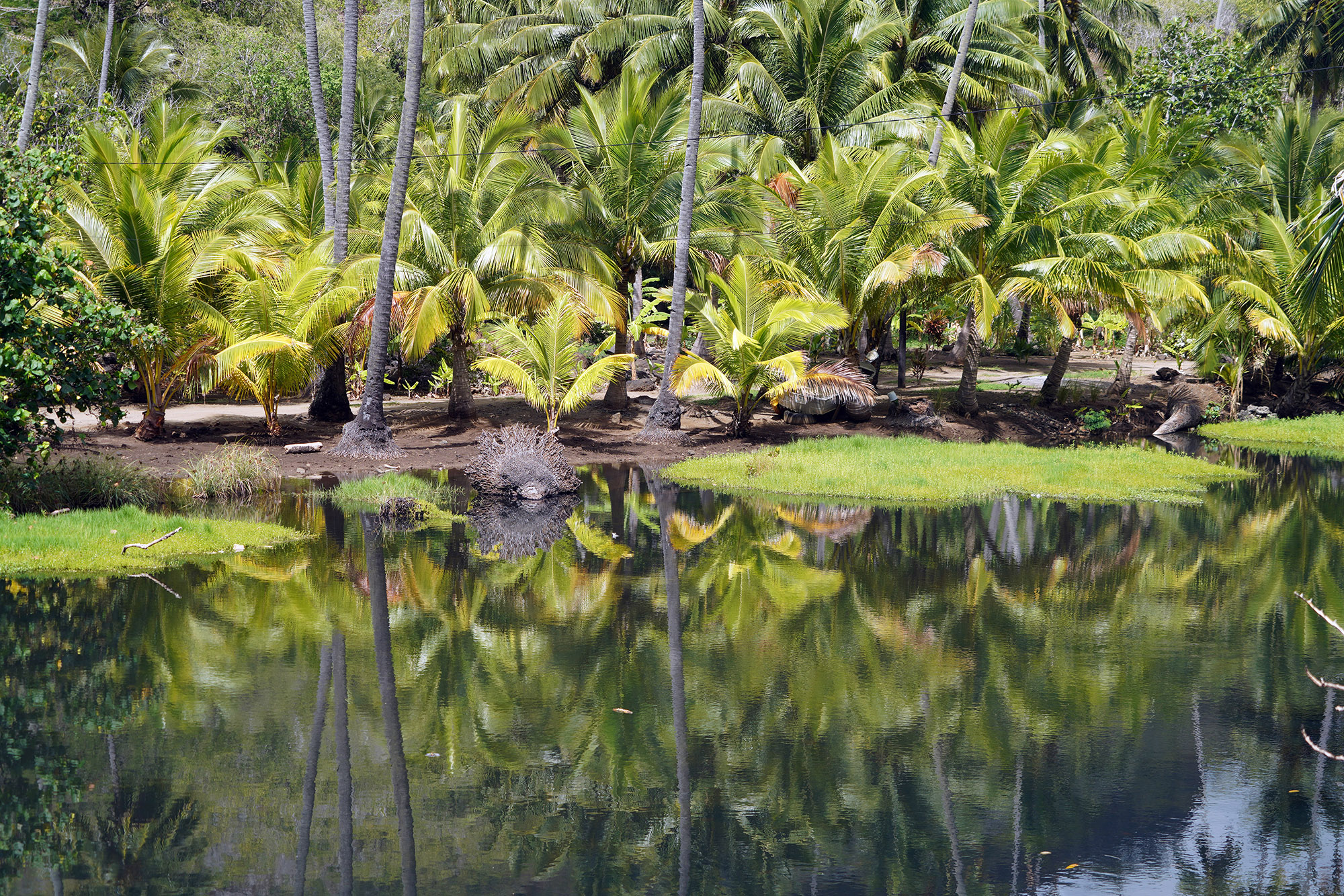 Hameau de Hooumi - Ile de Nuku Hiva