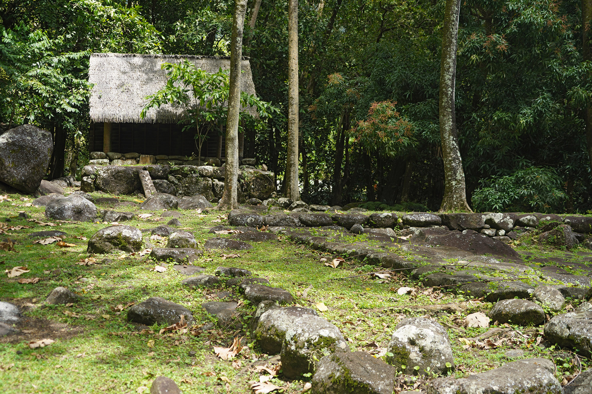 Site archéologique de Kamuihei près du village de Hatiheu