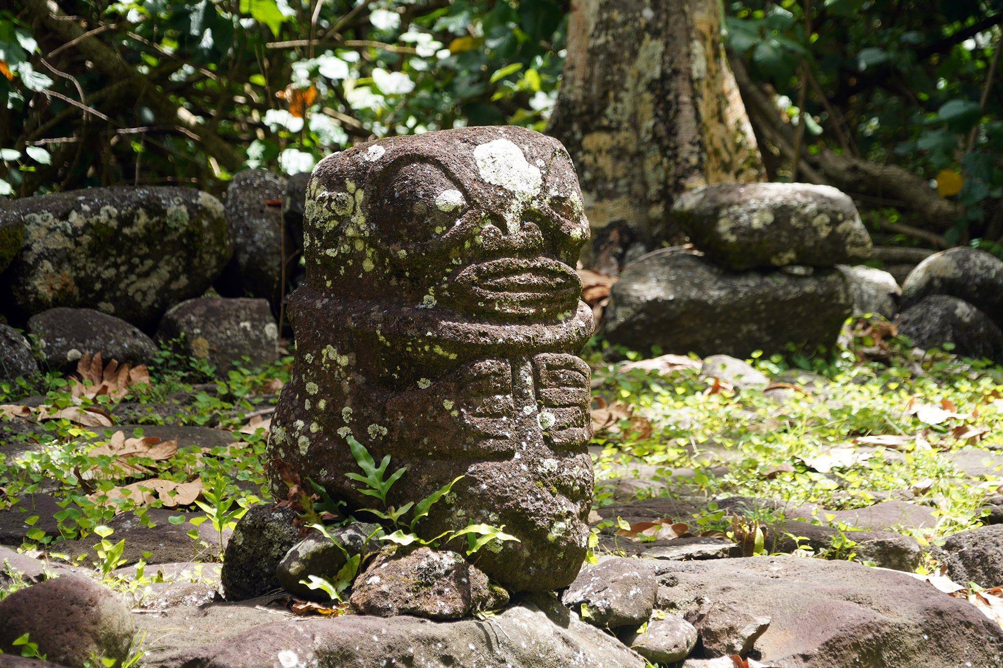 Site archéologique de Kamuihei près du village de Hatiheu