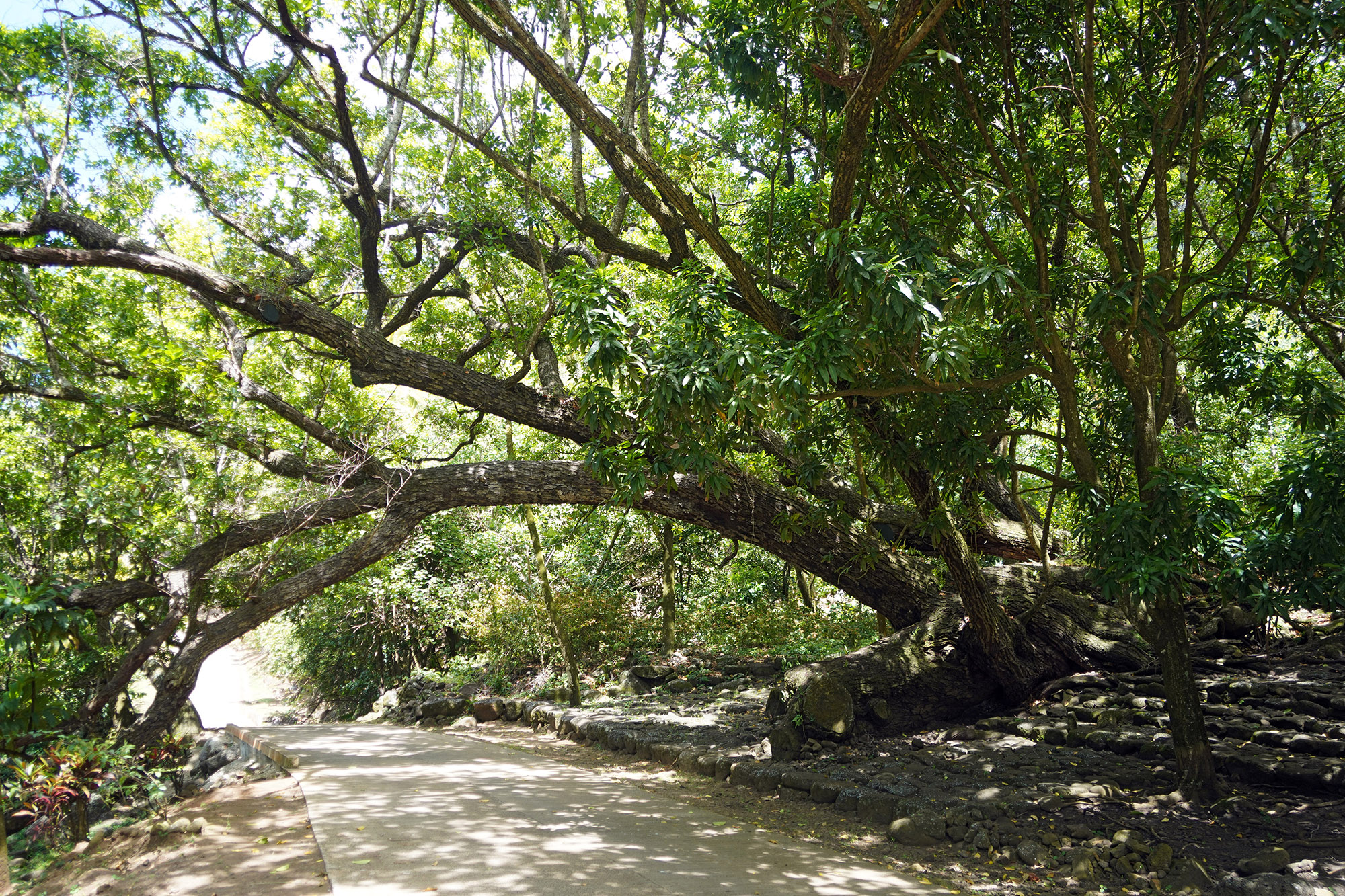 A l'approche d'Aakapa - Ile de Nuku Hiva