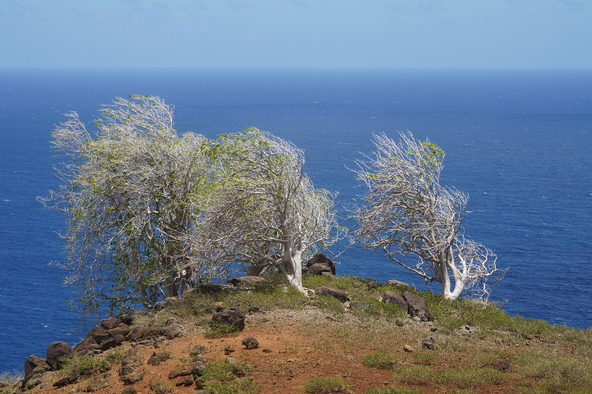 Vers la plage de Hanatekuua - Ile de Hiva Oa