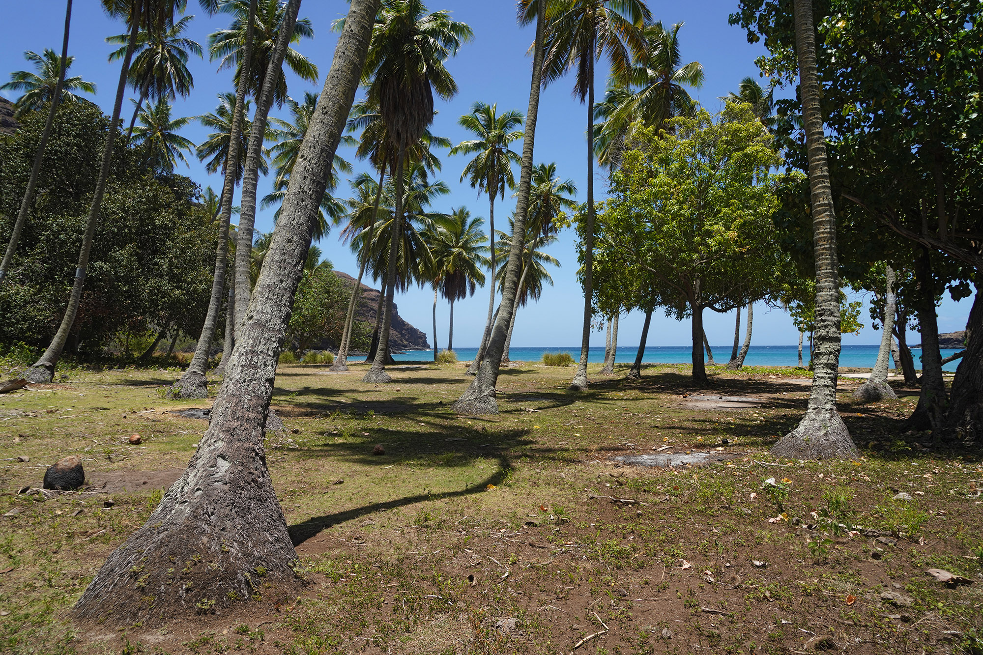 Baie de Hanatekuua - Côte nord de l'ile de Hiva Oa