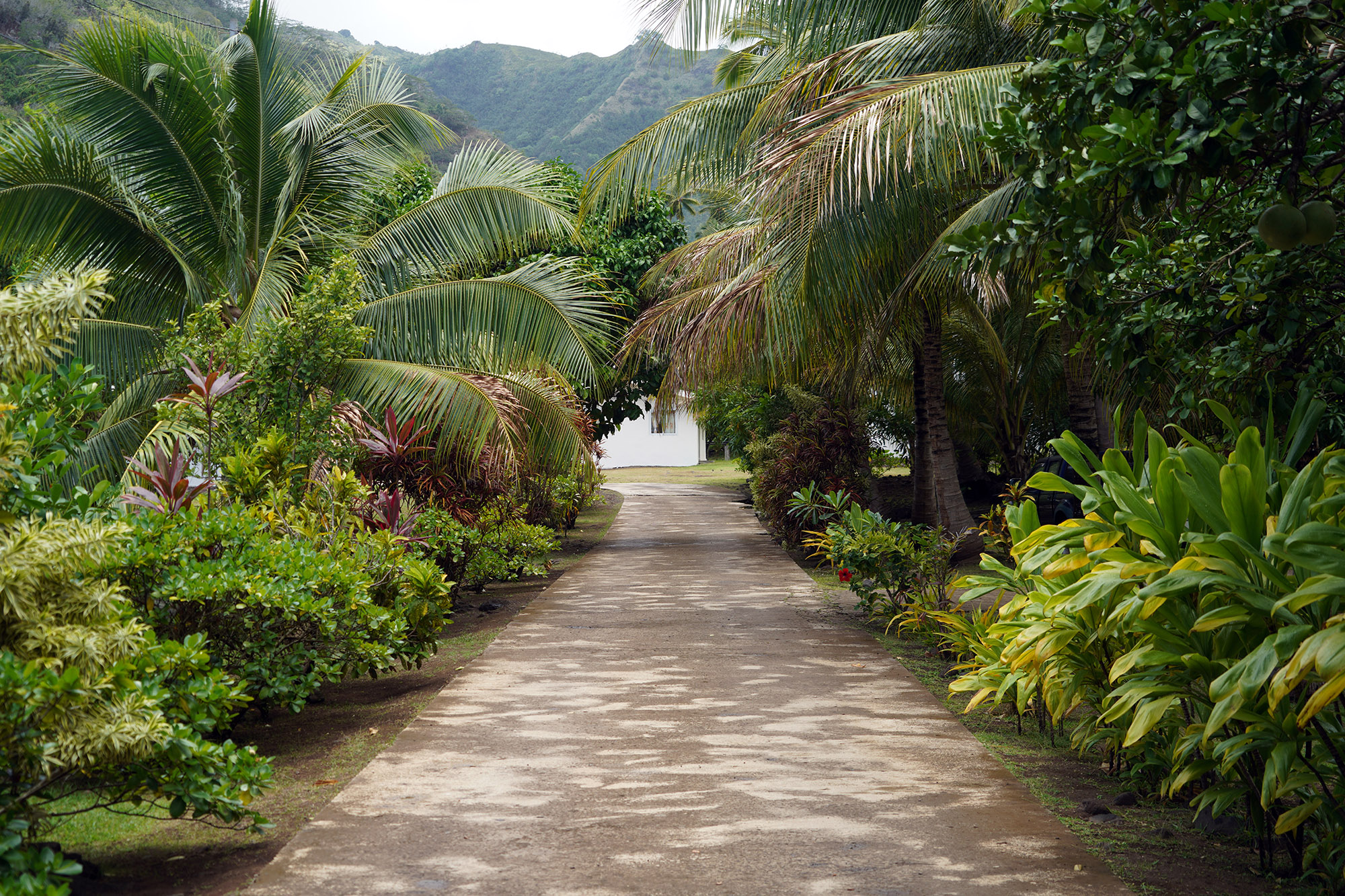 Village de Hanapaaoa - Côte nord-est de l'Ile de Hiva Oa