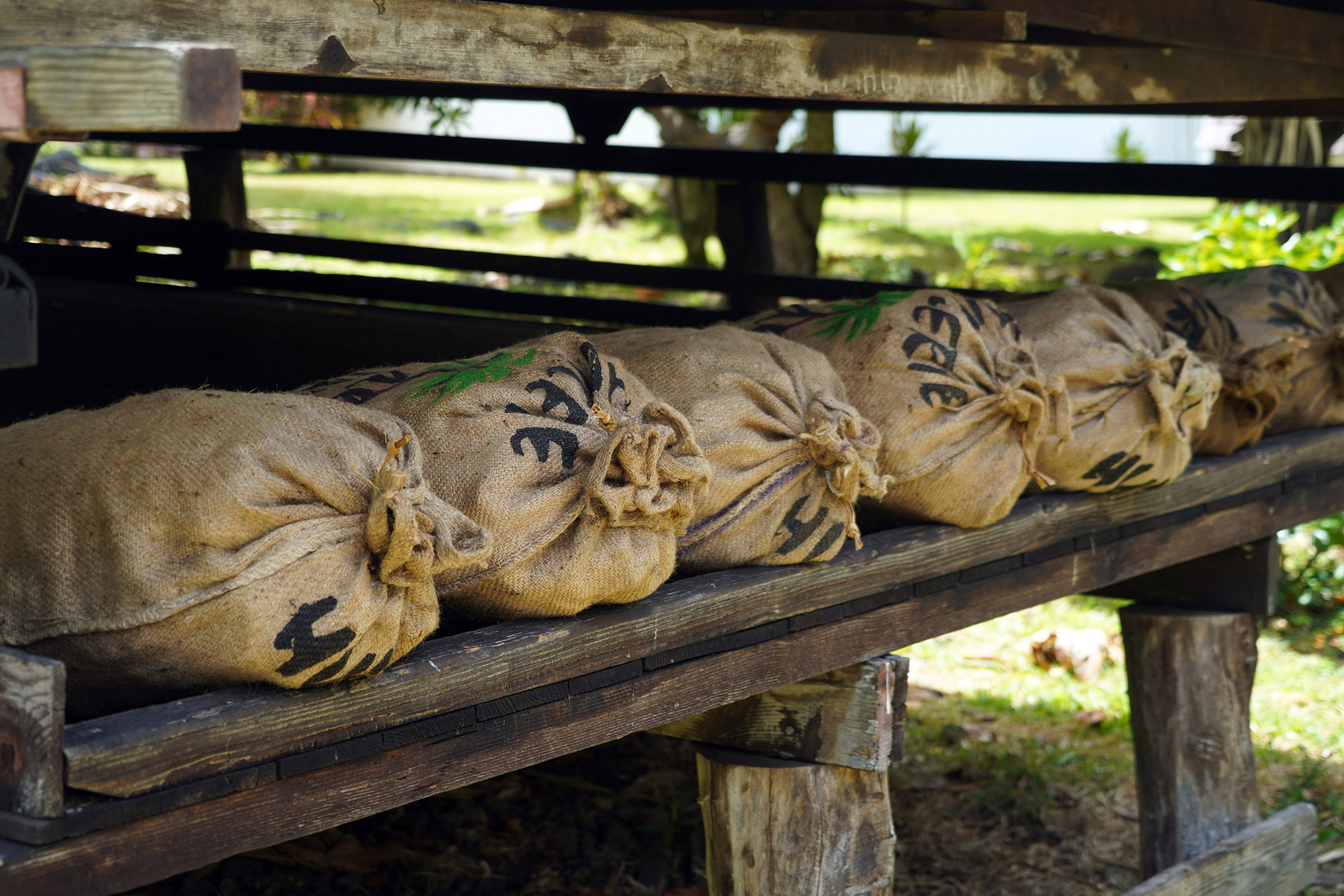 Village de Hanapaaoa - Côte nord-est de l'Ile de Hiva Oa