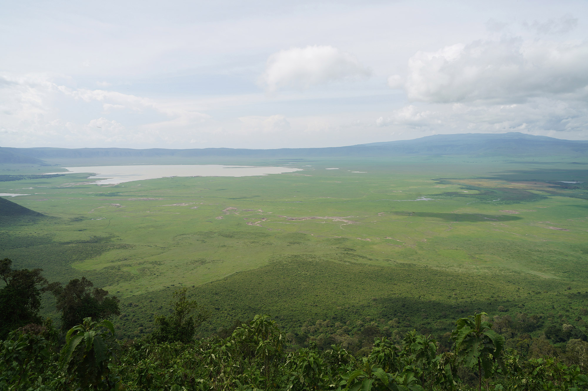 Vue sur le cratère du Ngorongoro