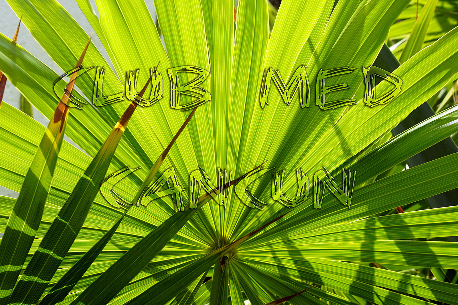 Mexique - Cancun-2016