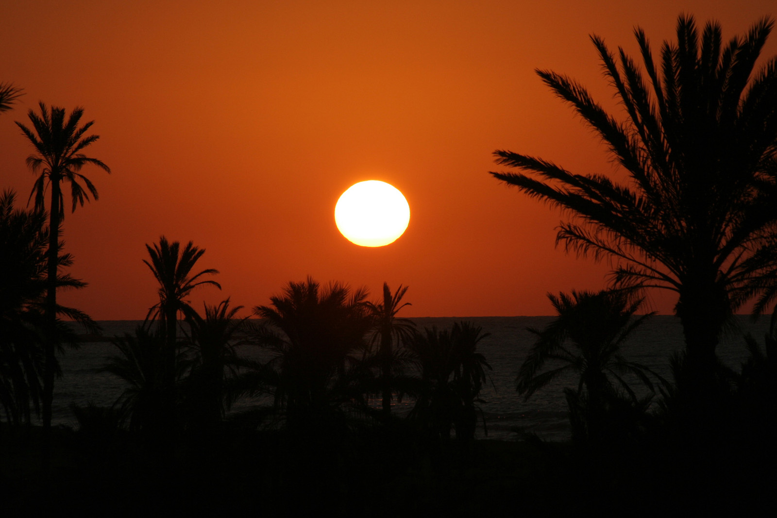 Djerba 118