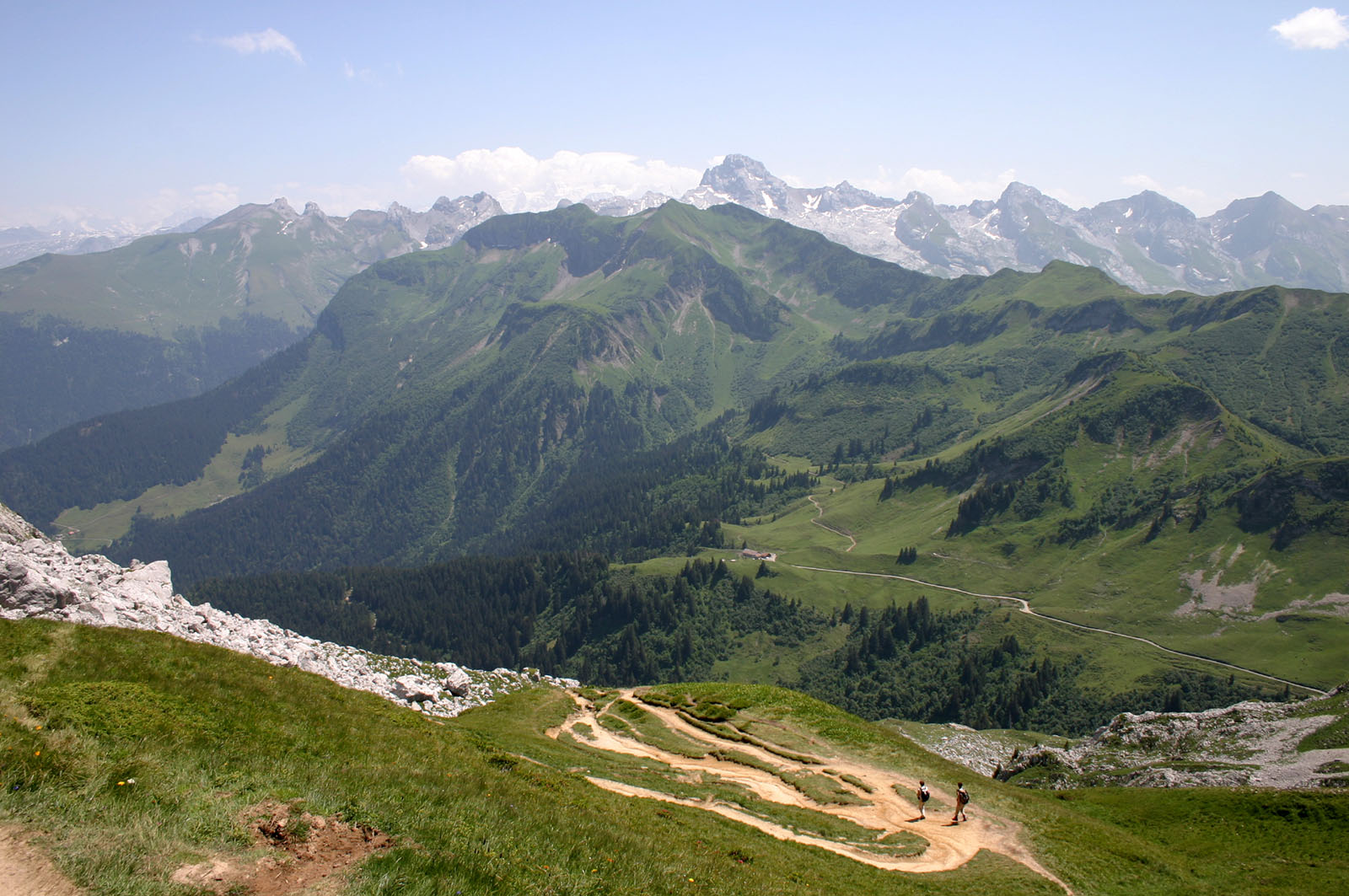 444 Aravis