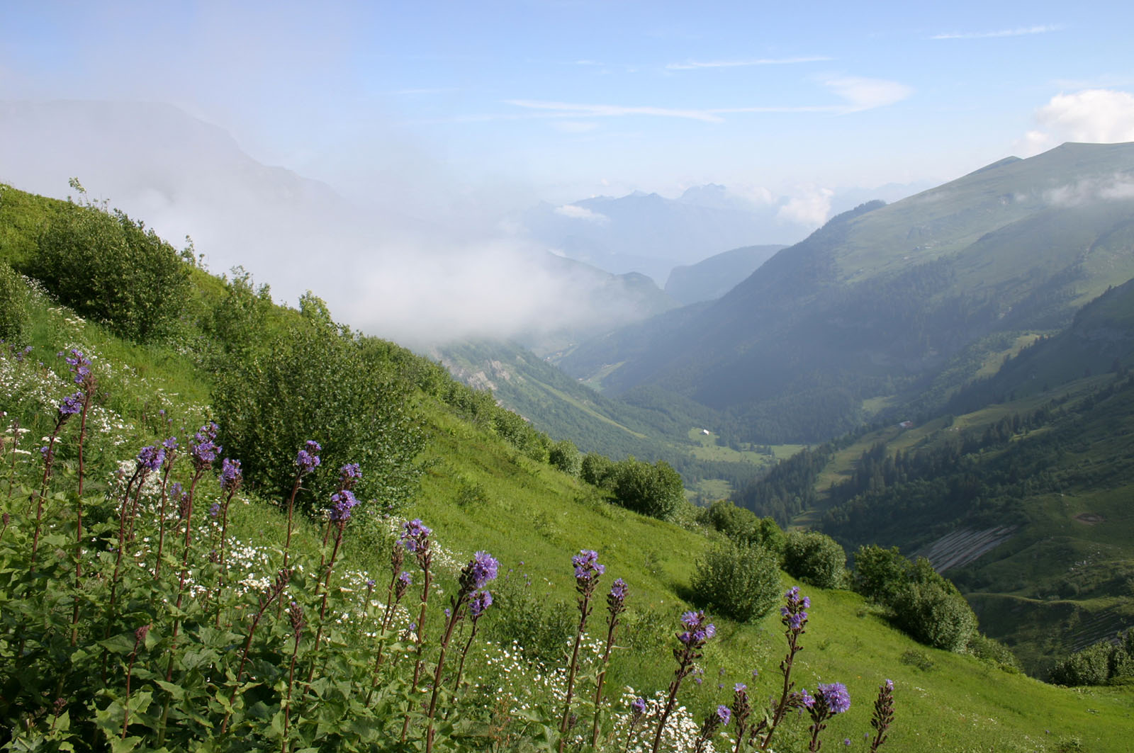 915 Aravis