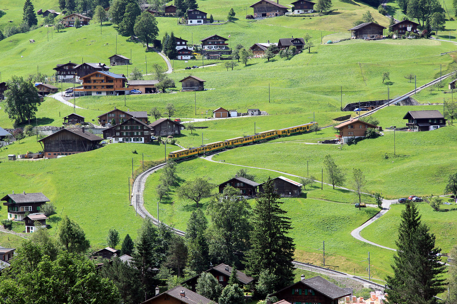 08 Grindelwald